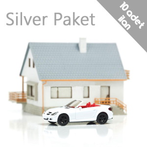 Silver Paketi (10 ilan)